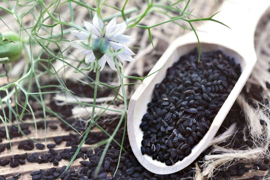 Health Benefits of Nigella Seeds